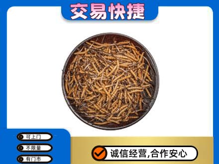萍乡市安源高价回收散虫草
